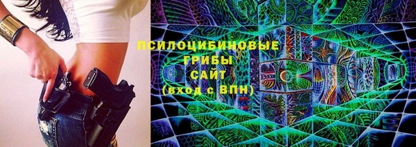 дмт Медвежьегорск