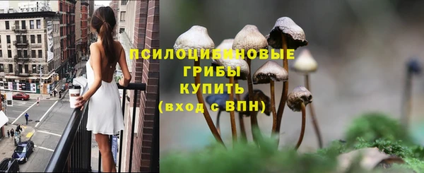 марки lsd Медногорск